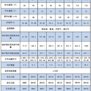 WNS系列燃油(燃氣)蒸汽鍋爐